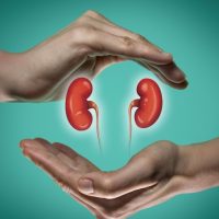 kidney swedan - gangotri ayurveda panchkarma and wellness center lucknow (Small)